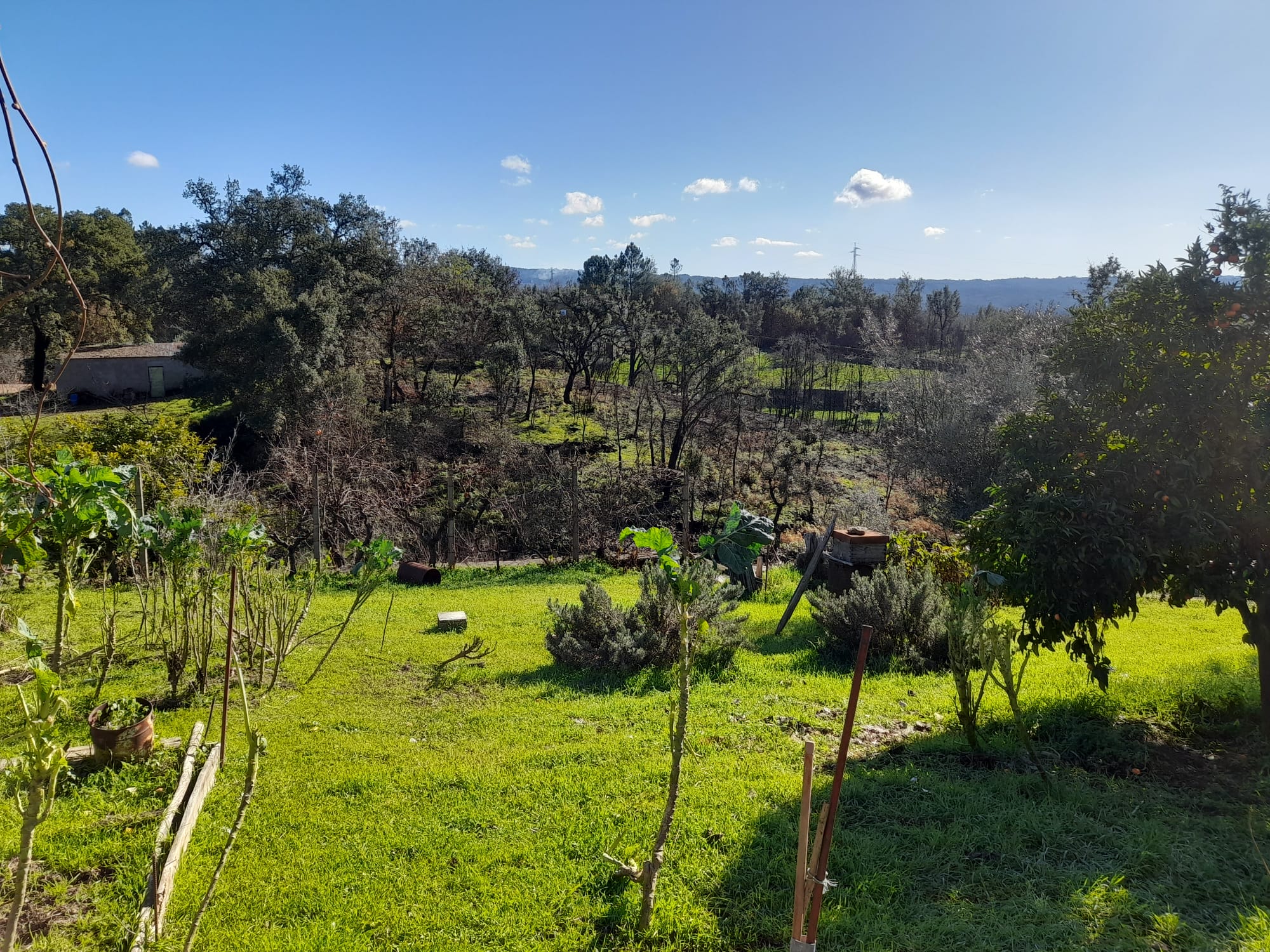 Fachada da moradia
