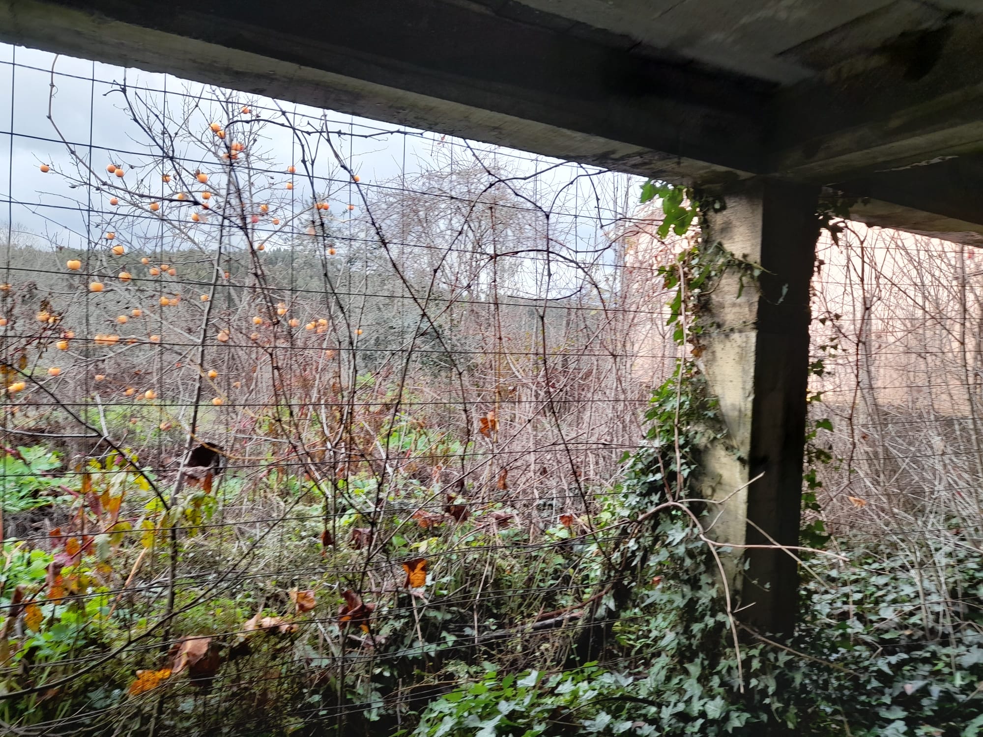 Moradia para restaurar – Vila Facaia - foto 3