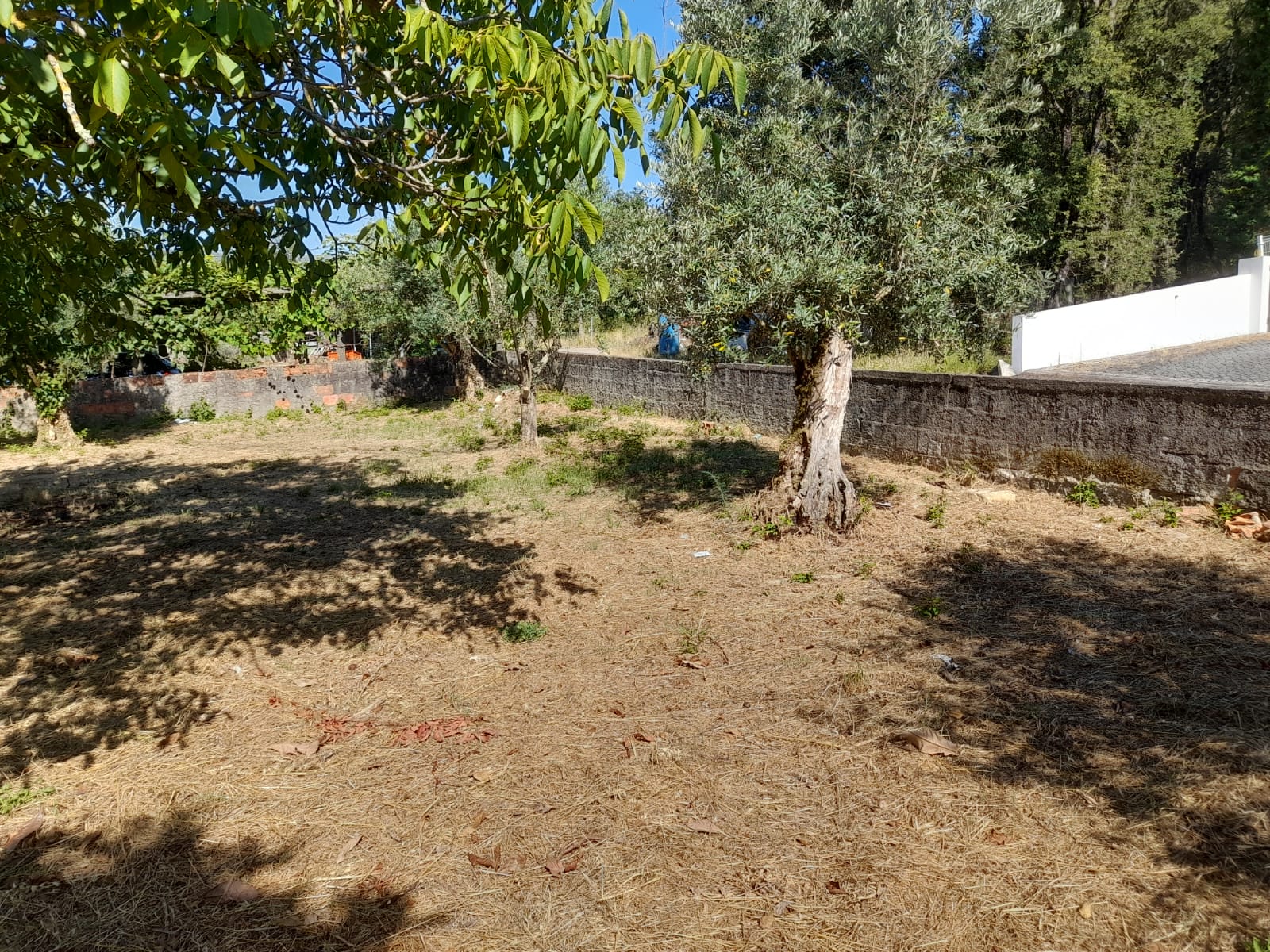 Moradia T5 - Penela - foto 13
