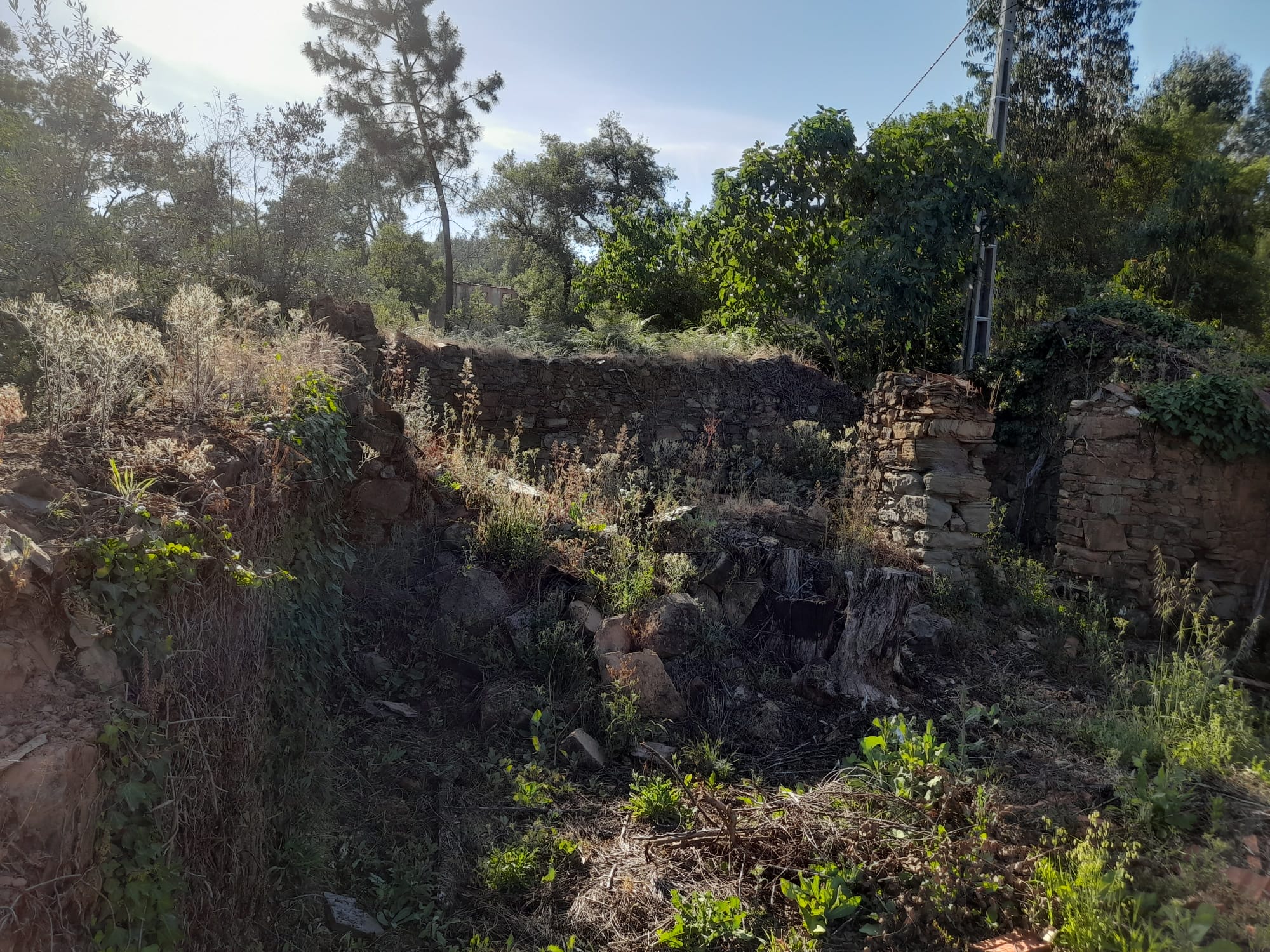 Moradia Pedra restauro - Pedrogão grande - foto 5