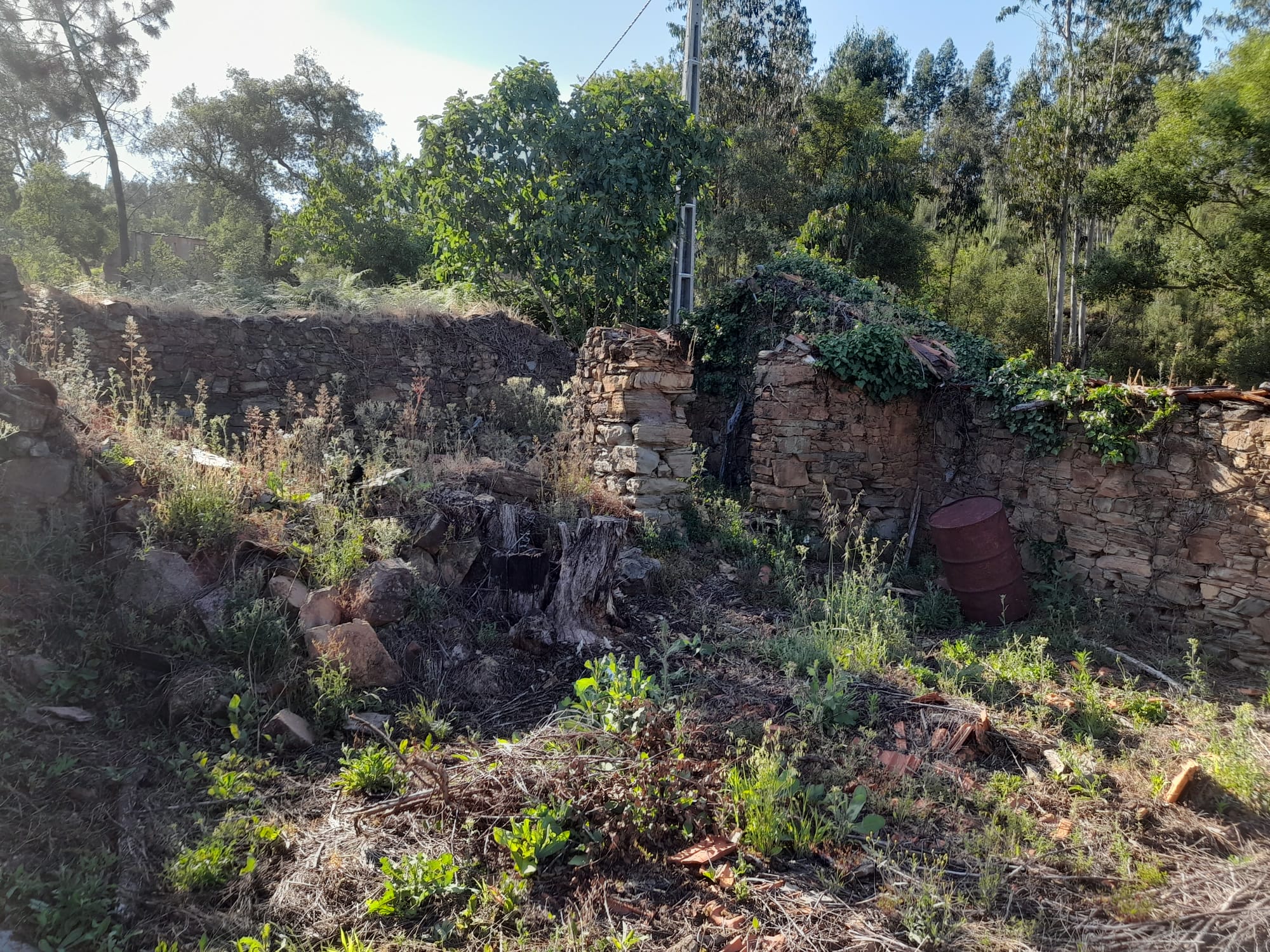 Moradia Pedra restauro - Pedrogão grande - foto 6