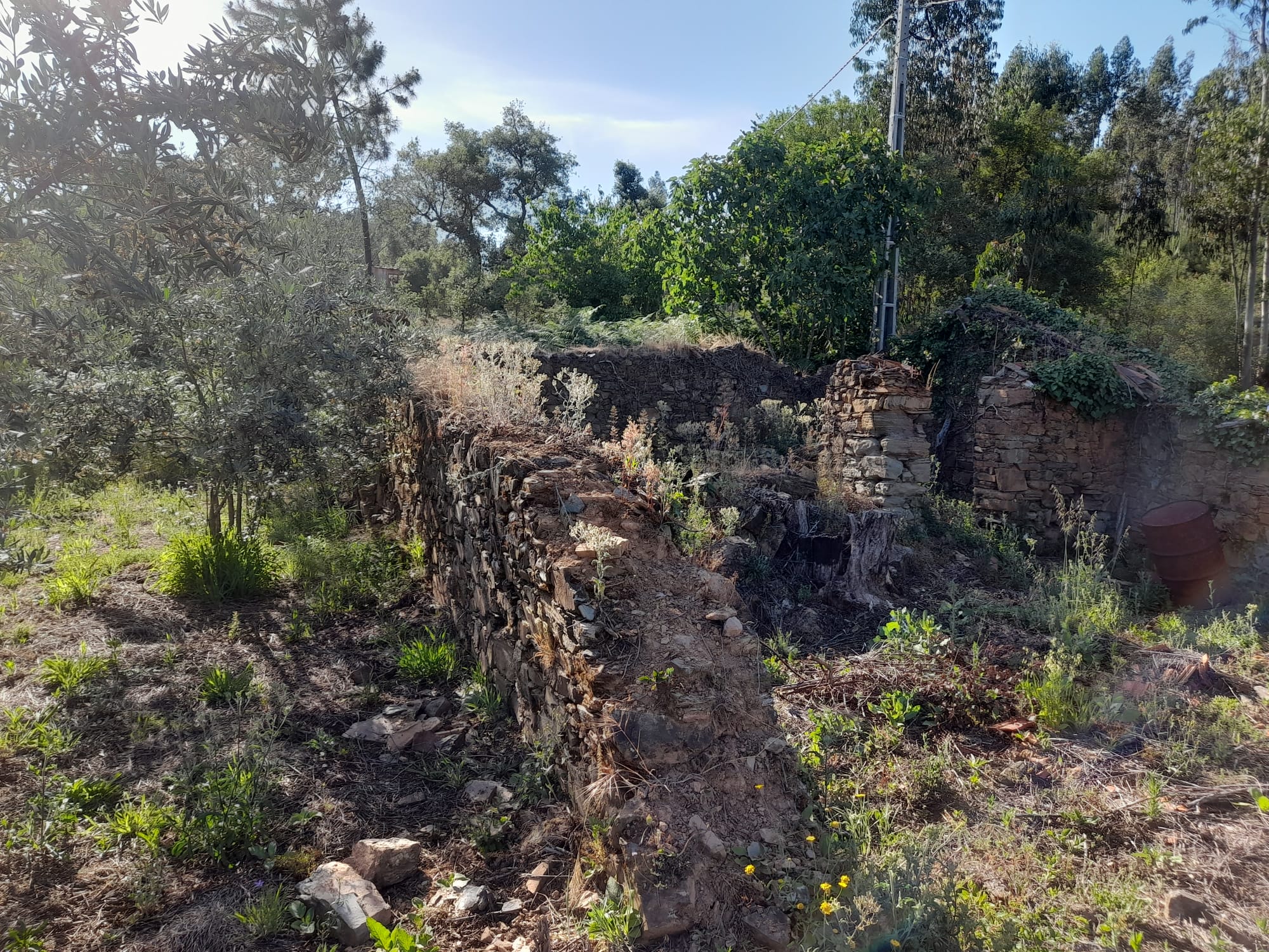 Moradia Pedra restauro - Pedrogão grande - foto 10