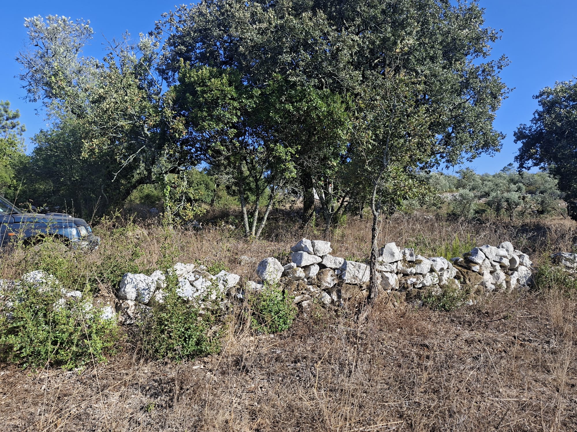 Terreno - Soure - foto 4