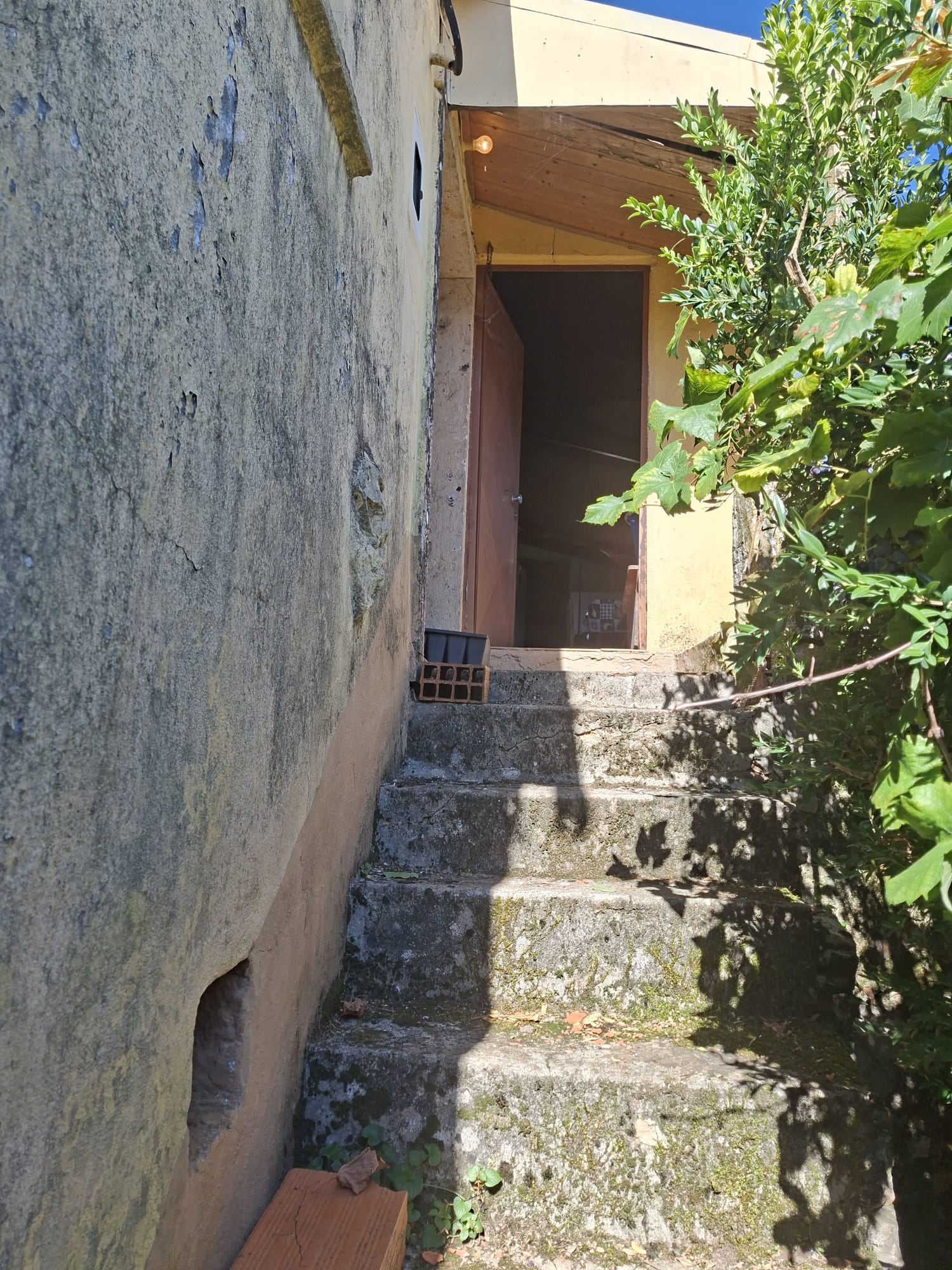 Moradia - foto 9