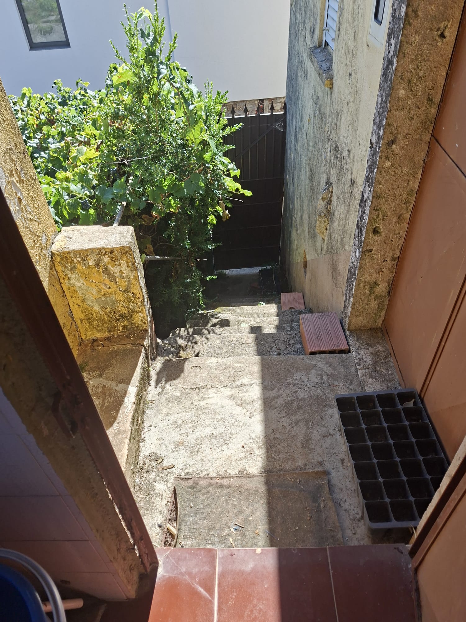 Moradia - foto 8